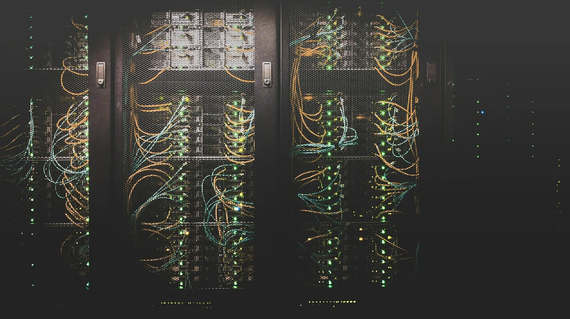 A dense bundle of network cabling