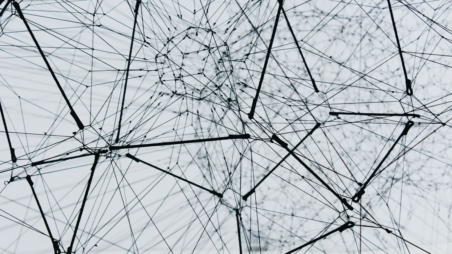 A dense lattice of connected nodes and paths